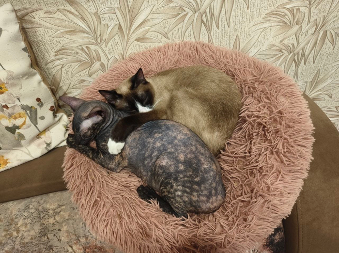 ��������� � ��������