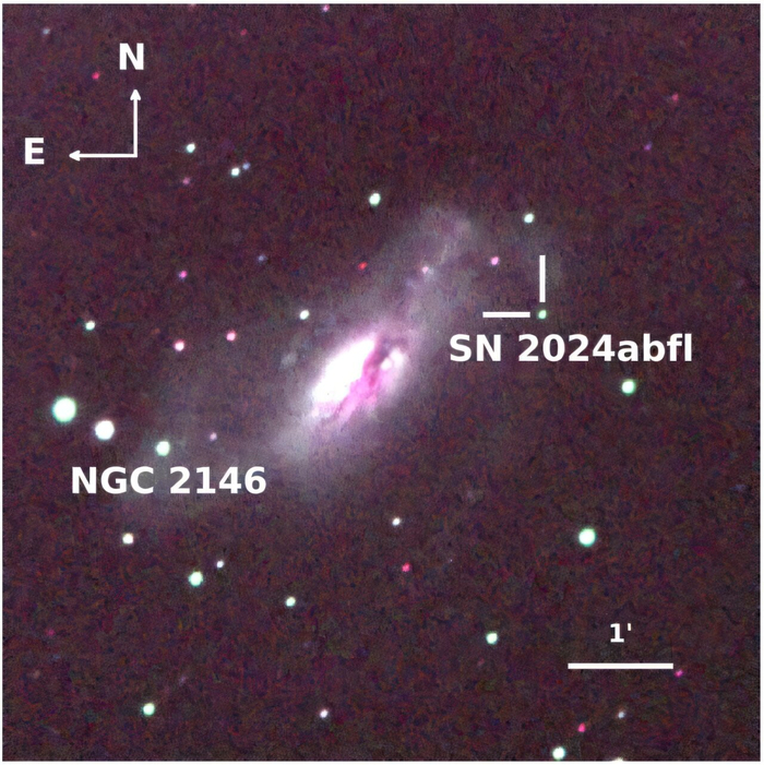 SN 2024abfl � ����������� � ��� ��������� NGC 2146. ������� RGB-������, ���������� � ������� 35-�������������� ��������� Xinglong � g-, r- � i-���������� ��� t = 4,4 ��� ����� ������.