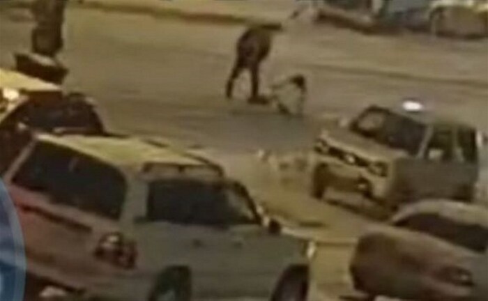 �� ������������ ��������� ��������� ���� ������ ��������, ��������� ������� � ������ �����