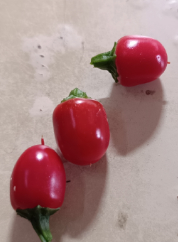 ������ ������ ���������. ������, �������, ������ �� �����������, � ��� +13+17, ������) ������, � �������, ��� � ������� ������� ����� �� �������� �������)