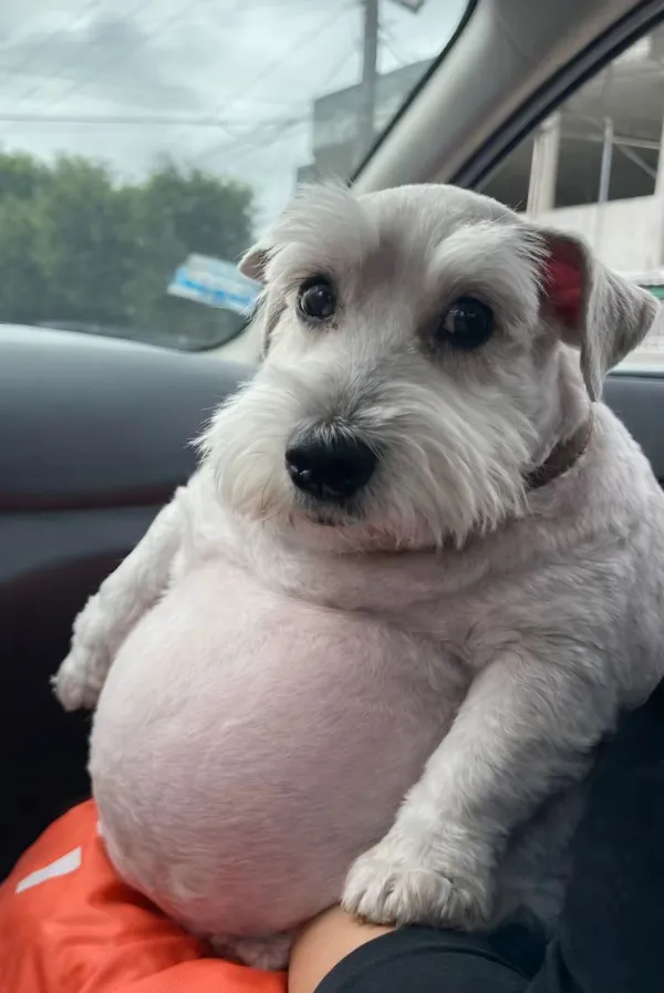 ���� �� ����: ���� � �����. �����: ���