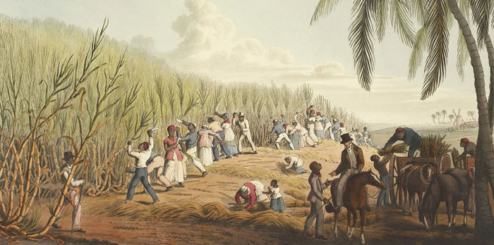 ������ 20 ���� - �����-������� ������