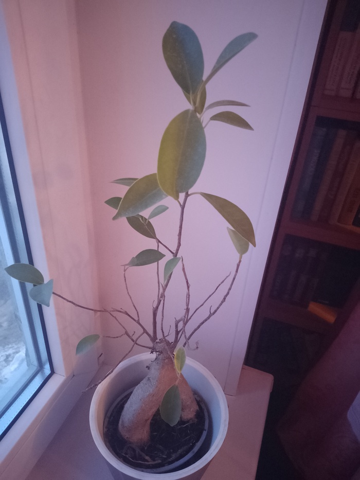 ������� ����! ����� ������