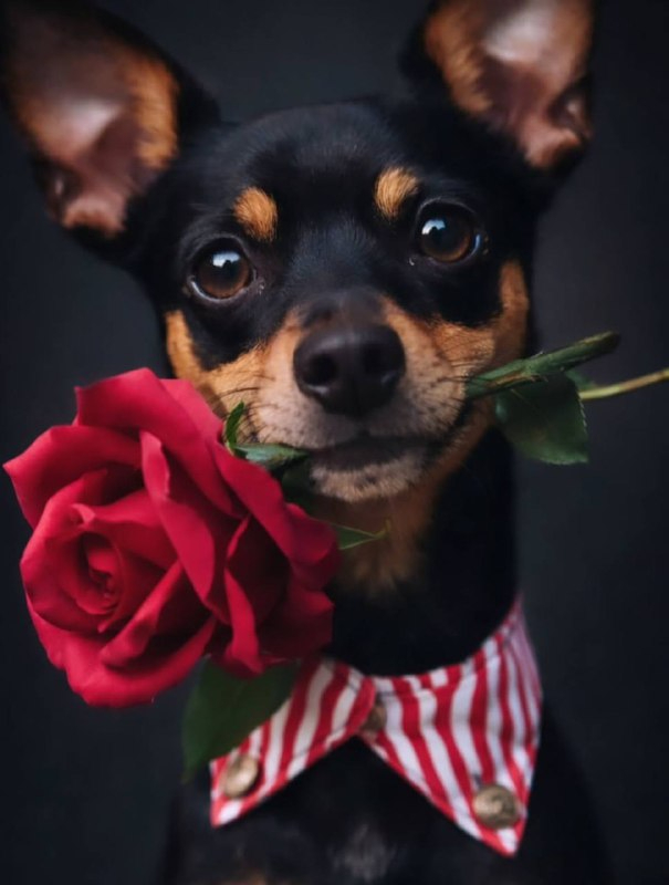 ������� � ��������� �����: ���������� � ����������� ����� ������ �� ������ � ������� ��