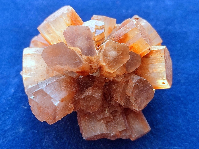 ������� �������-�������������� ���������� ���������. �������. ������� ������� �������, ���� ���