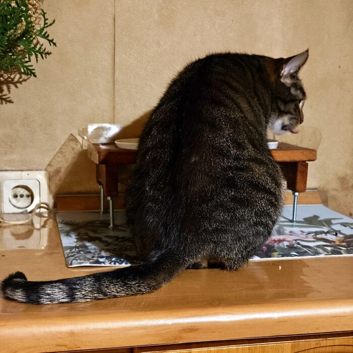 ��-��-��