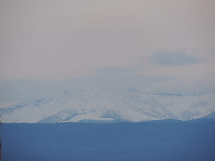 ����� �������� �������� � ����������