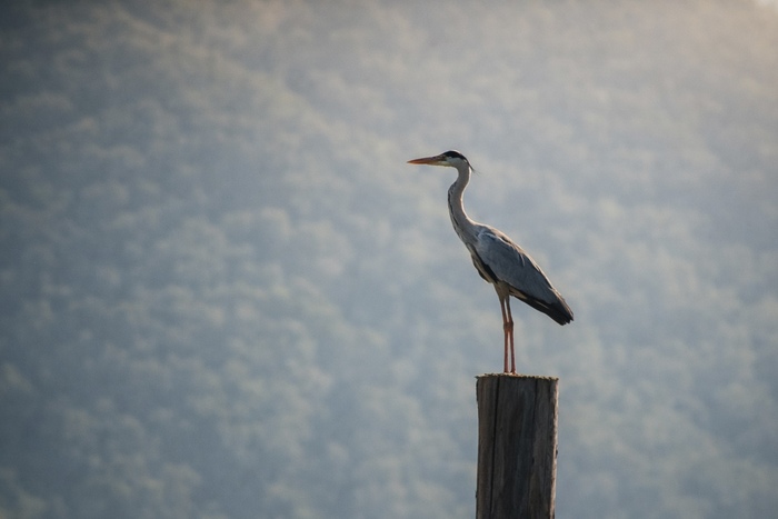 Антон Курдюмов фотограф в Хабаровске