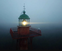 ����� �������� ������