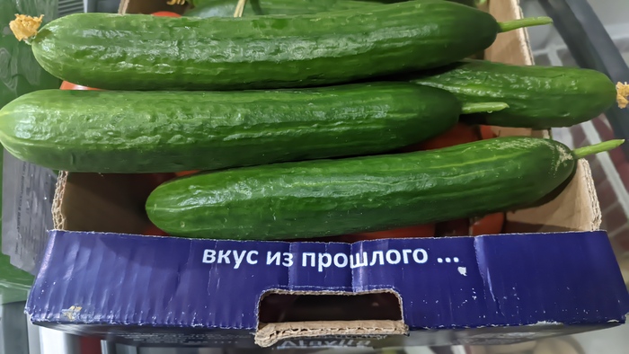 �� ����� ���
