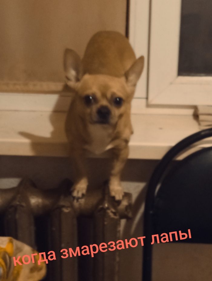 ���� ������, ���� �����!