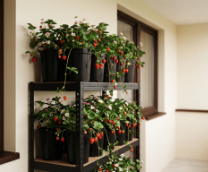 ������� ������������� �� �������