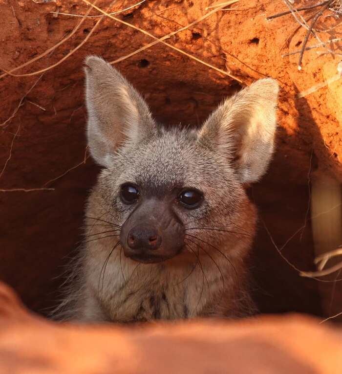 �������� ����