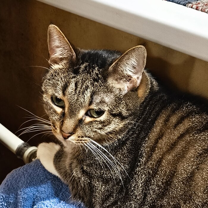 ��������...