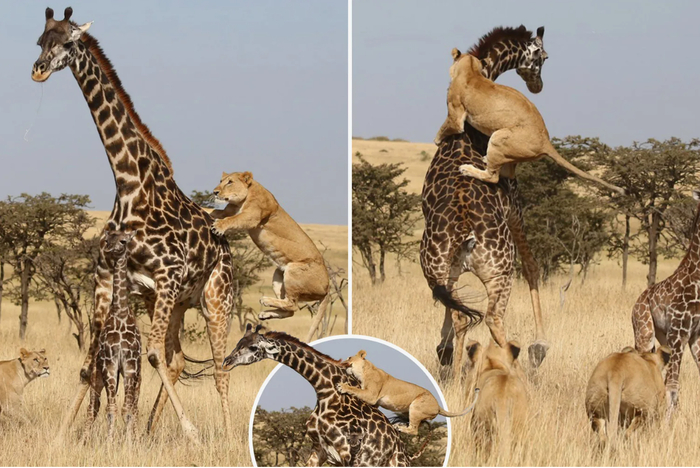 �� �������� ������ �������� ��������� ������������� ����. �� ����� ������� ����� � ������� ����� ����� ������� ������ �������� ������.