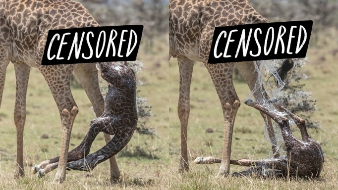 ������ ������ ����������, ������ � ���� ������� �� �����. ��� ��� ������ ��������� ������!