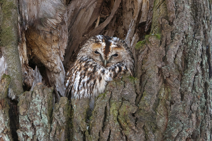 ���� ��������� ���. � ��� �������!