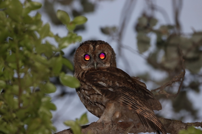 ������ ��-�� ��������������� ������� ����� ��� �������� ��� �����������.