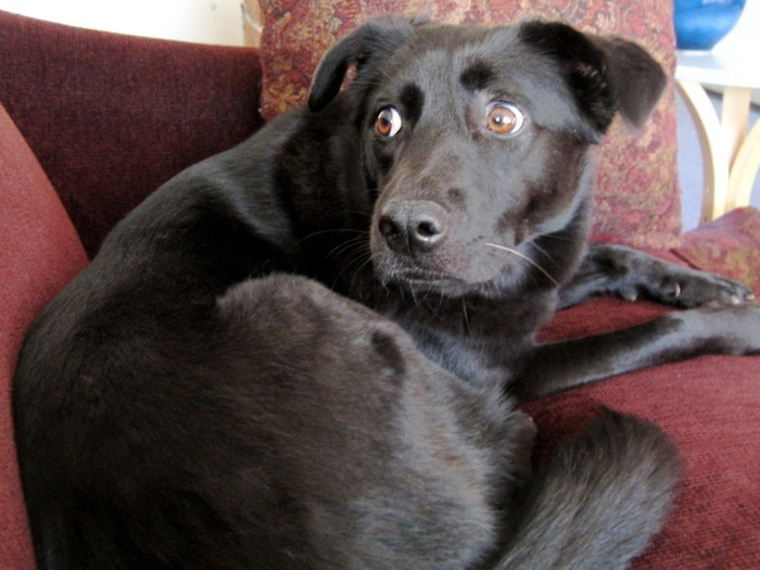 � �� ����, �� � �����.