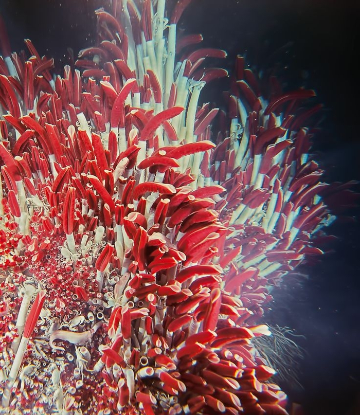 ����-������� ���� ����� ����� ��-�� �����������. �����, ��� ��������� �� ����� ��������.