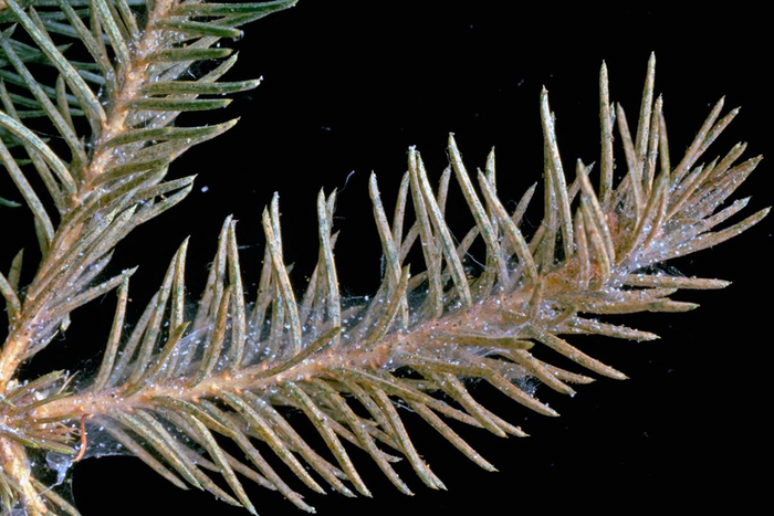 ������ ����� � �� ������.