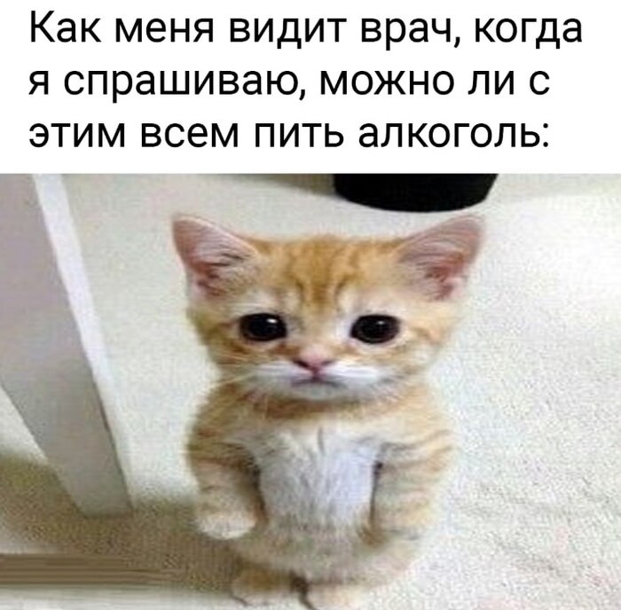 �� �������