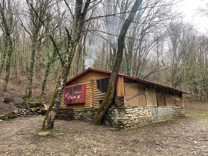 ���-�� ����� ���� �� ��������� ����