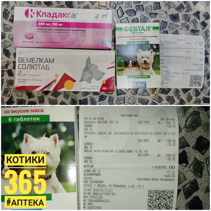 ������ 14.02.2026