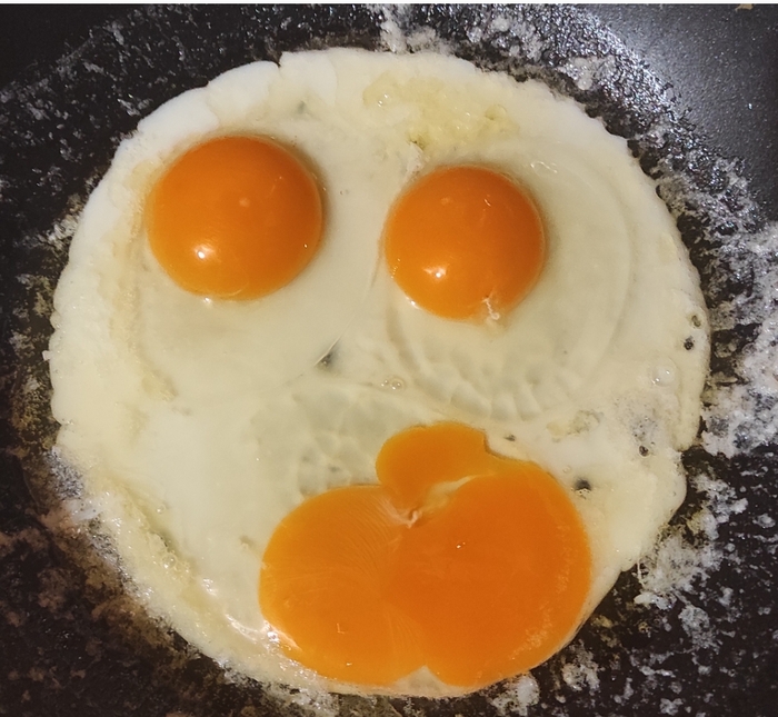 � ����� ������ ������� ������ ������ ���� ����