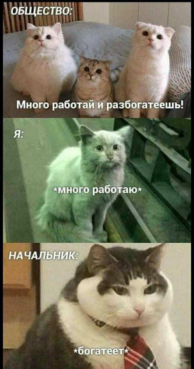 ����...