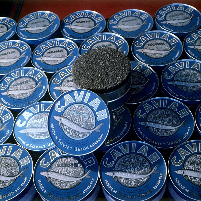 1972 ���. ������� ����. ��������� ������������� ��������������� ���������