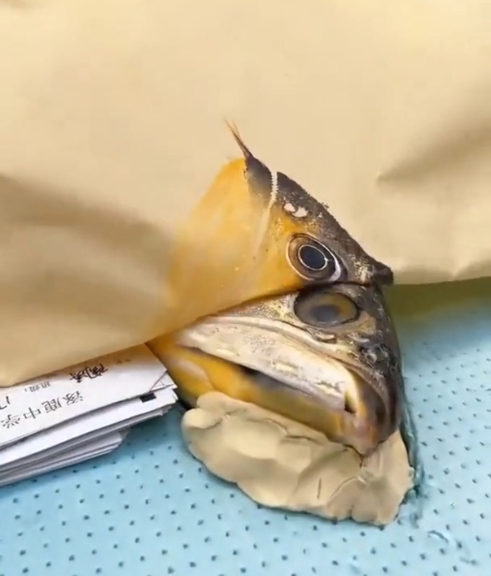 ����� �� ���� �ø���� � �������� ������� ���������� ������� �������� ���� �����. ������� ������, � ����� ������������� �� ������ ��� �����