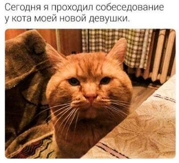 Не потяну я такие взятки, продеться от него избавится