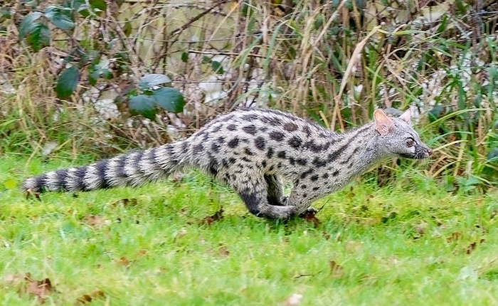 ����! ����� � ������ �������!