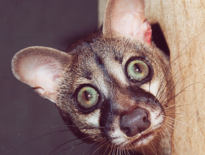 � ���������, �� �������. � � ������ �������? � ����?