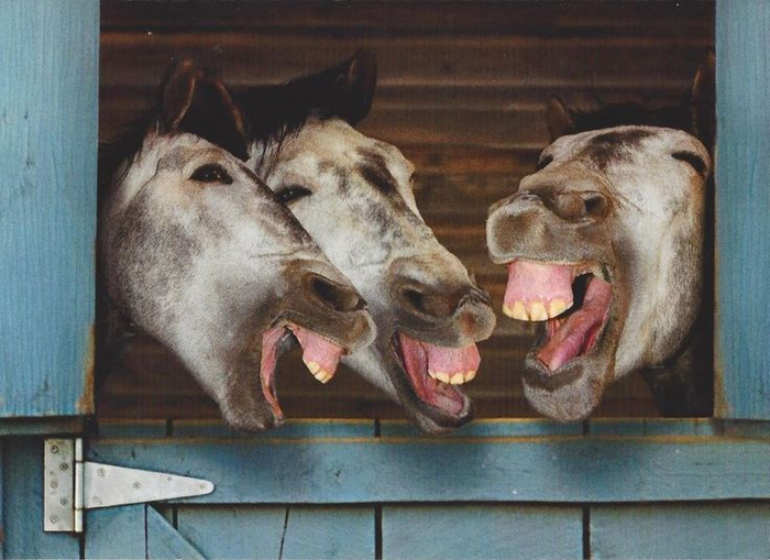 Не нам судить, но мы обсудим.