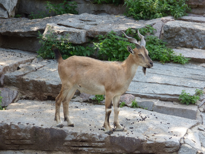 ���� �������� ������