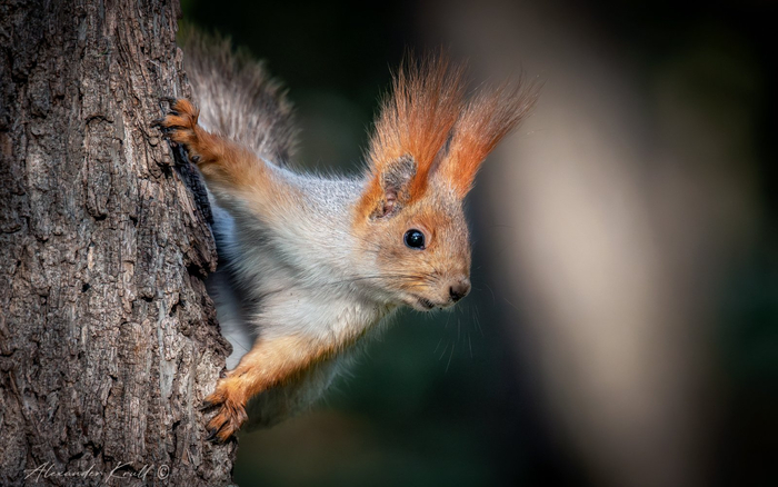 ����: ��������� ����� <a href="https://pikabu.ru/story/a_oreshek_dash_13702068?u=https%3A%2F%2Frtraveler.ru%2Fphoto%2F1481455%2F%3Feditorial_photos%3D1&t=%D0%BE%D1%82%D1%81%D1%8E%D0%B4%D0%B0&h=0cfccd957bc361e4eb3c97cee23d12743199b6ff" title="https://rtraveler.ru/photo/1481455/?editorial_photos=1" target="_blank" rel="nofollow noopener">������</a>