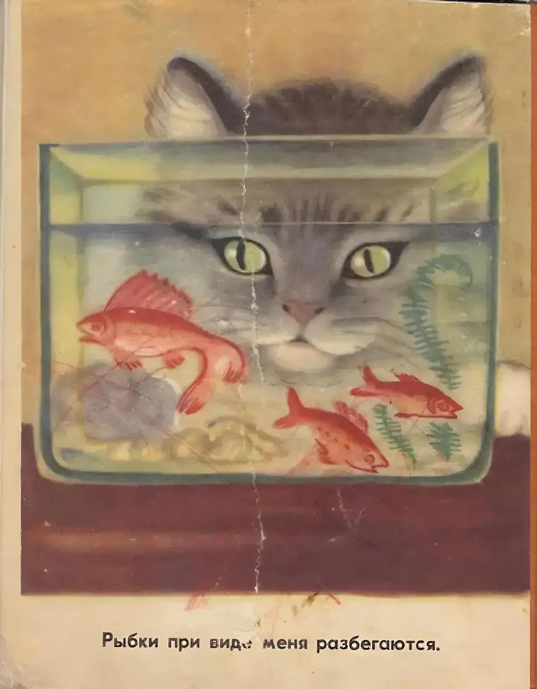 Published by Malysh, 1969 - the USSR, Made in USSR, Books, Poems, Children's poems, cat, Children's literature, Screenshot, A wave of posts