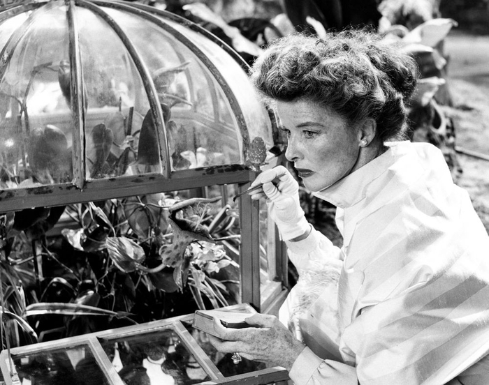 ������ ������ � ���� ������� ��������