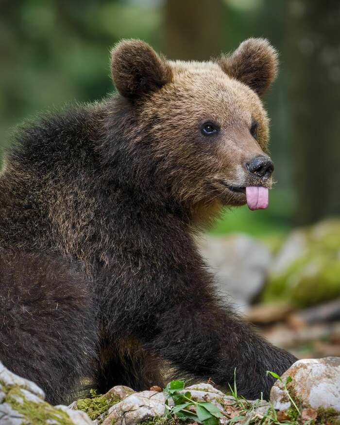 ���������