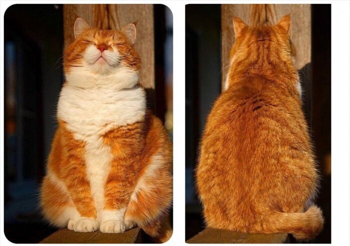 ����������� �������������� ���� ������ � ������� ��������� Nano Banana Pro