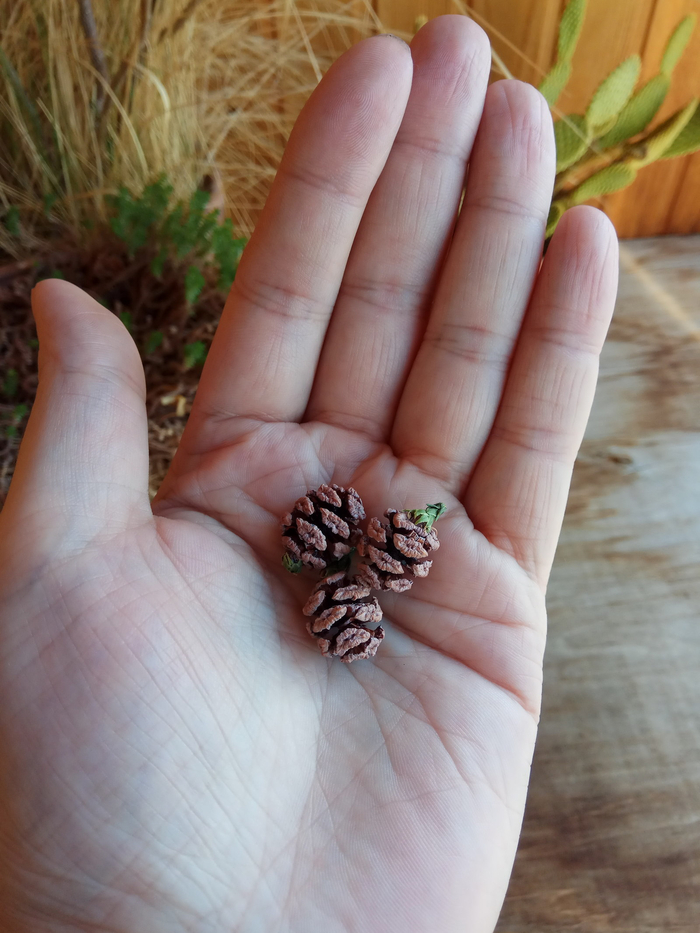 ��� ����� �������, ��� �������� ����������. � ������ ����� ��������� �� 3 �� 7 �����