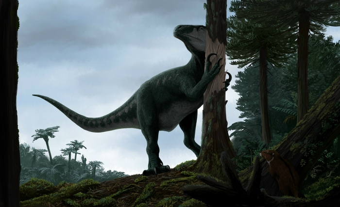 Как я тебя понимаю: сейчас бы уйти в лес, пообниматься с деревом, а не вот это вот всё!