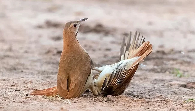 �� ��� ����� �������, ��� ������������ ������?