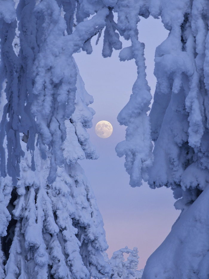 Samsung galaxy s23 ultra