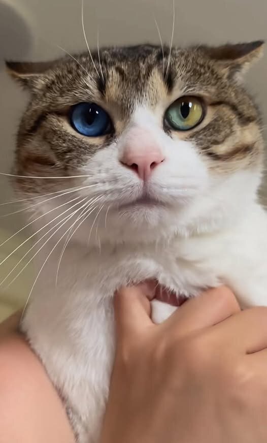 ��� �� ����� �� ������ ����-����