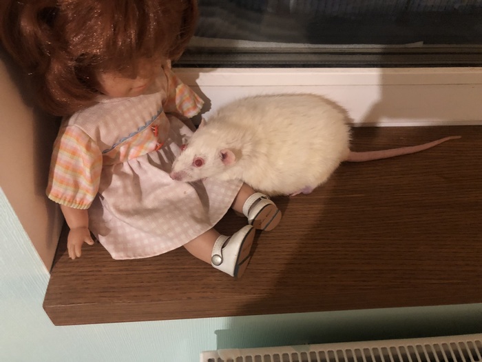 В гостях у сказки ))