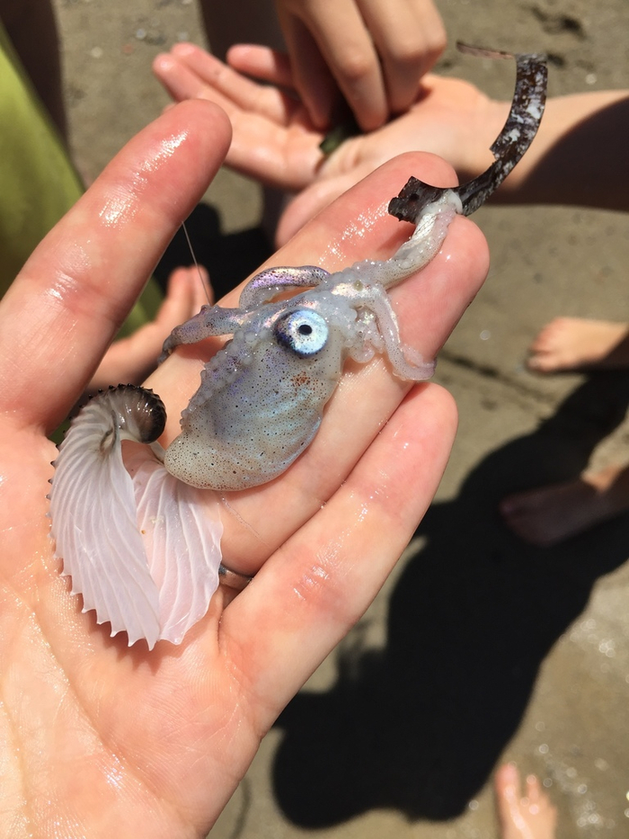 � ���, ������ �� �������. ���� ���������!