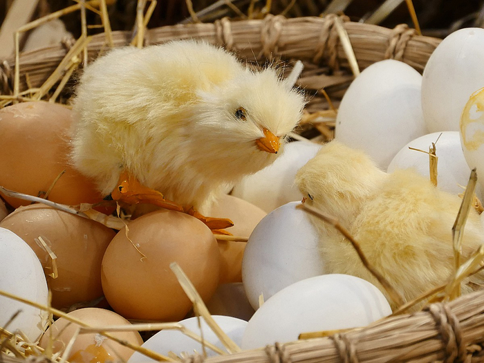 � �������! ��, ���� ��� ��������? ����� � ����� ����?